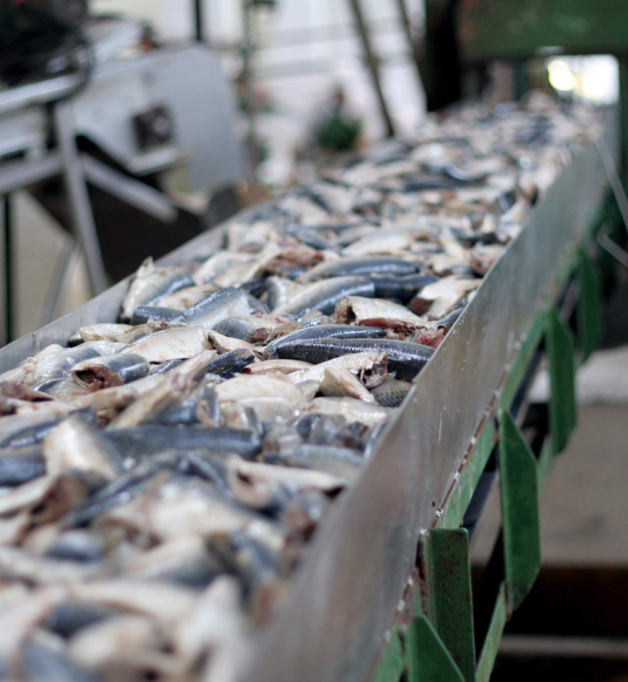 Food processing